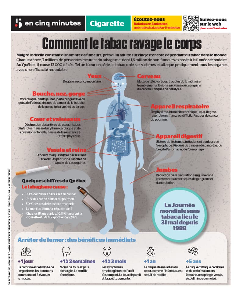 INFOGRAPHIE | Comment le tabac ravage le corps