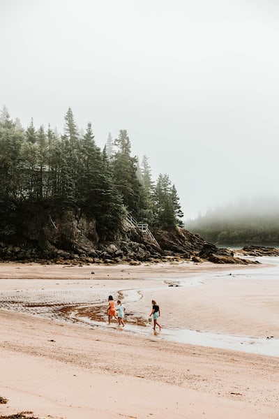 Parc provincial New River Beach, Nouveau-Brunswick
