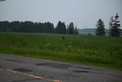 La tragedia ocurrió el 25 de junio de 2023, alrededor de las 19:45 horas, en una zona rural cerca del 1535 de chemin Lambert, en Lévis.