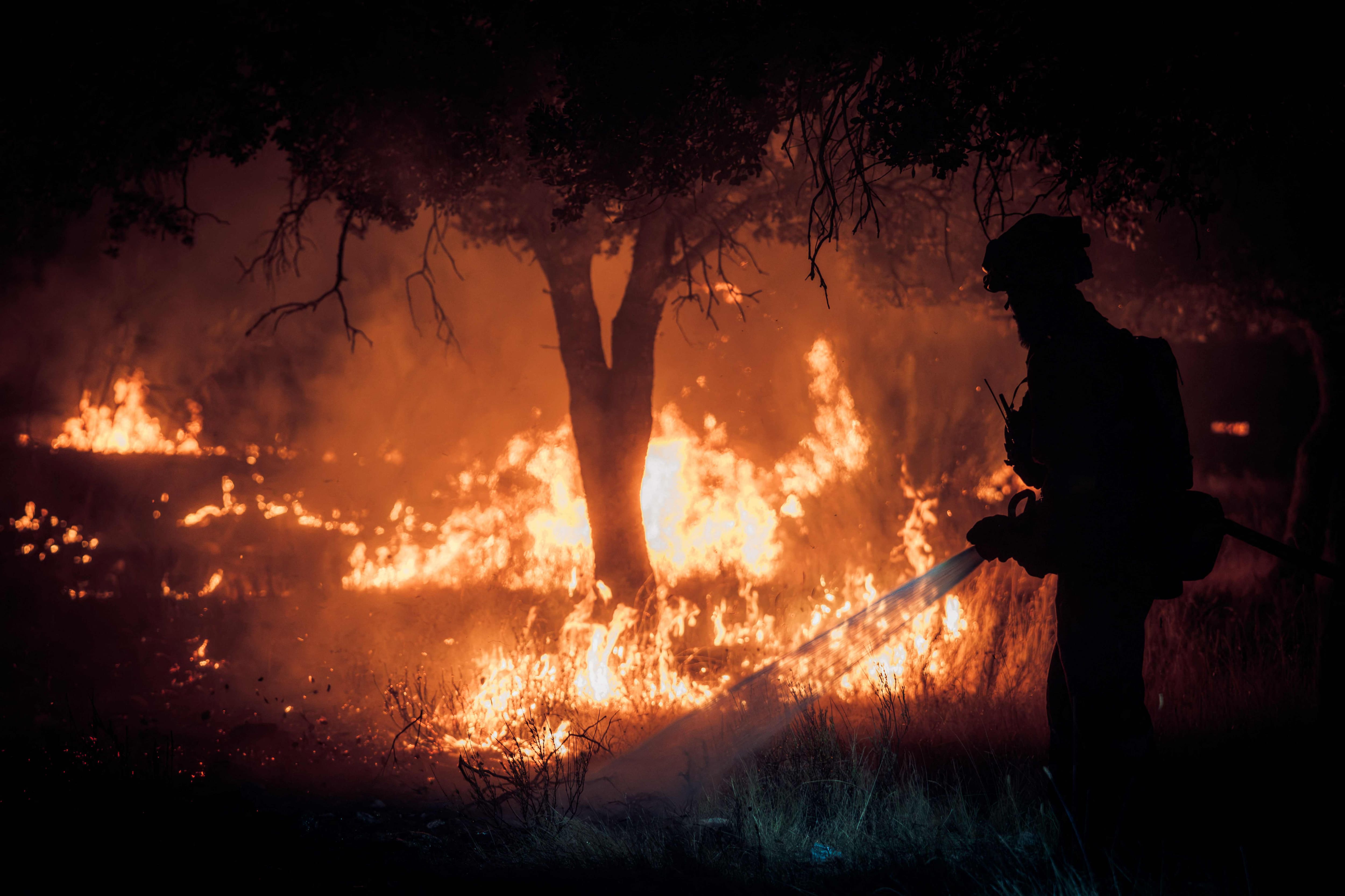 “This fire is devouring you”: residents evacuated in the face of an unprecedented fire near Madrid