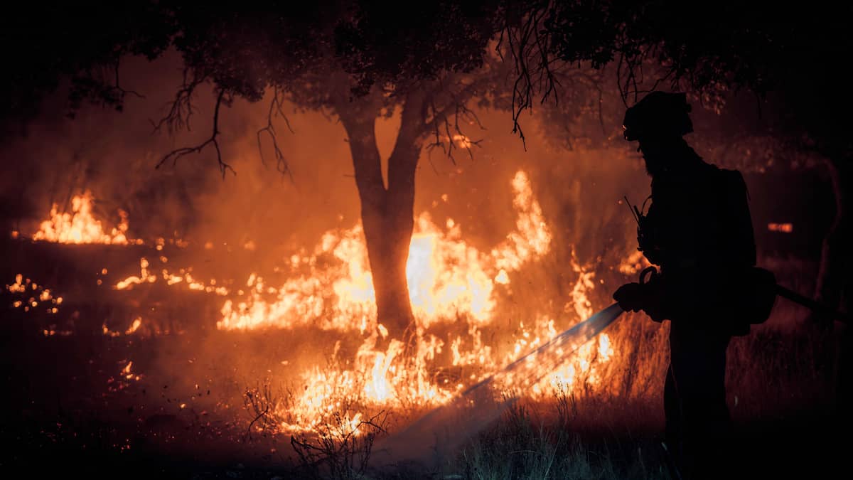 “This fire is devouring you”: residents evacuated in the face of an unprecedented fire near Madrid “This fire is devouring you”: residents evacuated in the face of an unprecedented fire near Madrid