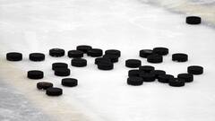 Trois-Rivières fait officiellement son entrée dans la ECHL