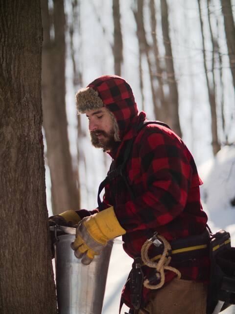 S'initier à la cueillette d'eau d'érable