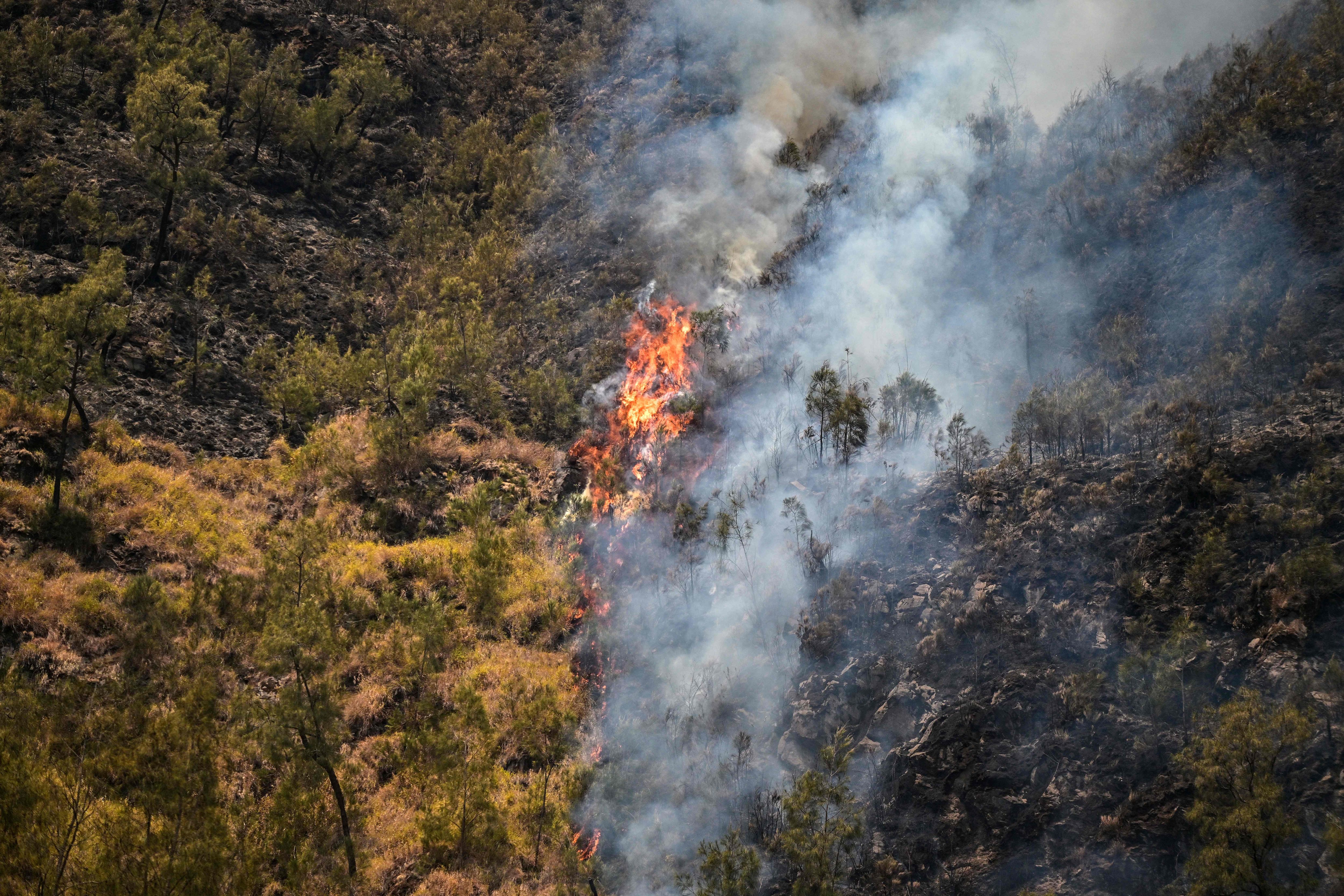 Le mont Bromo en proie aux flammes en Indonésie