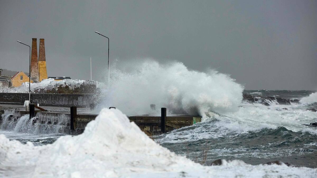 Collision entre deux cargos au sud de la Suède, deux disparus