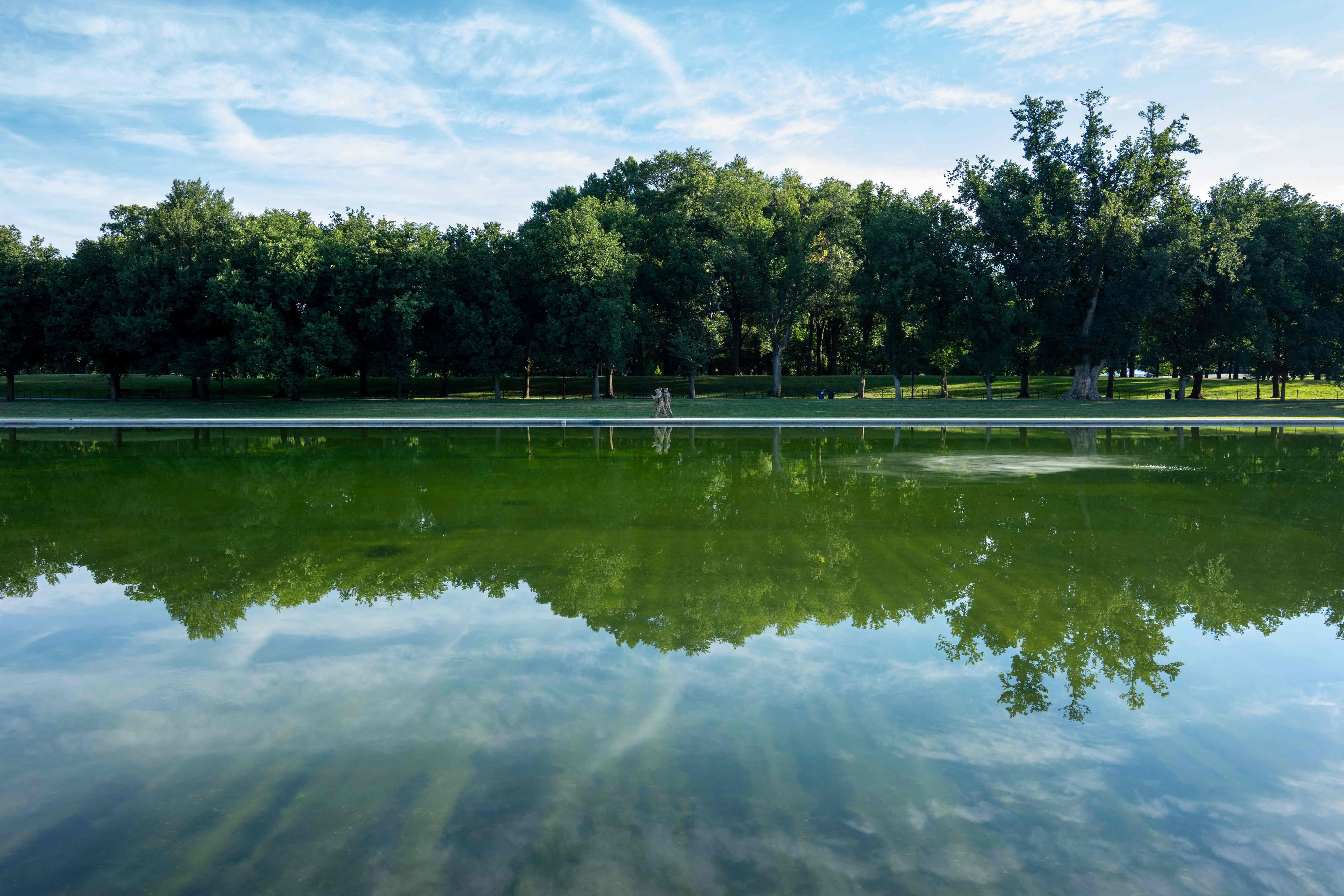 The renovation of a pool dear to Trump is leaking, the president blames “vandals”