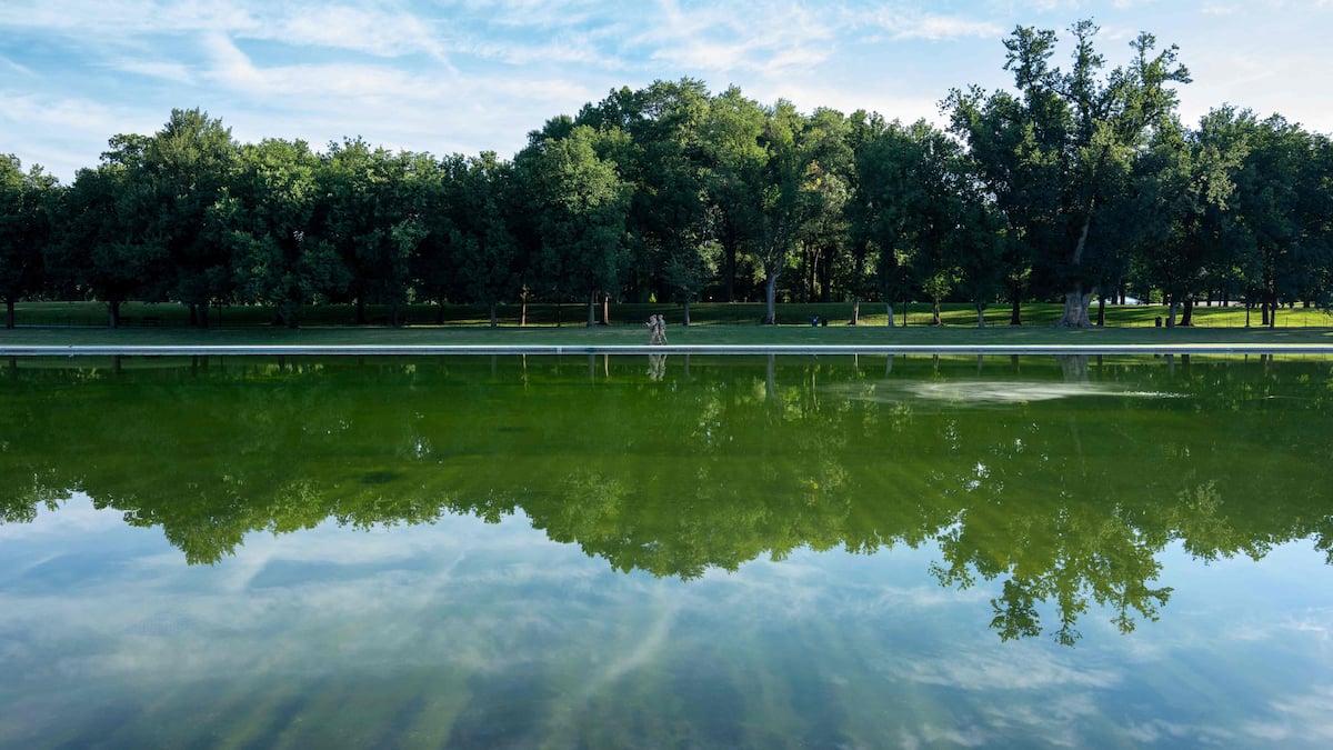 The renovation of a pool dear to Trump is leaking, the president blames “vandals” The renovation of a pool dear to Trump is leaking, the president blames “vandals”