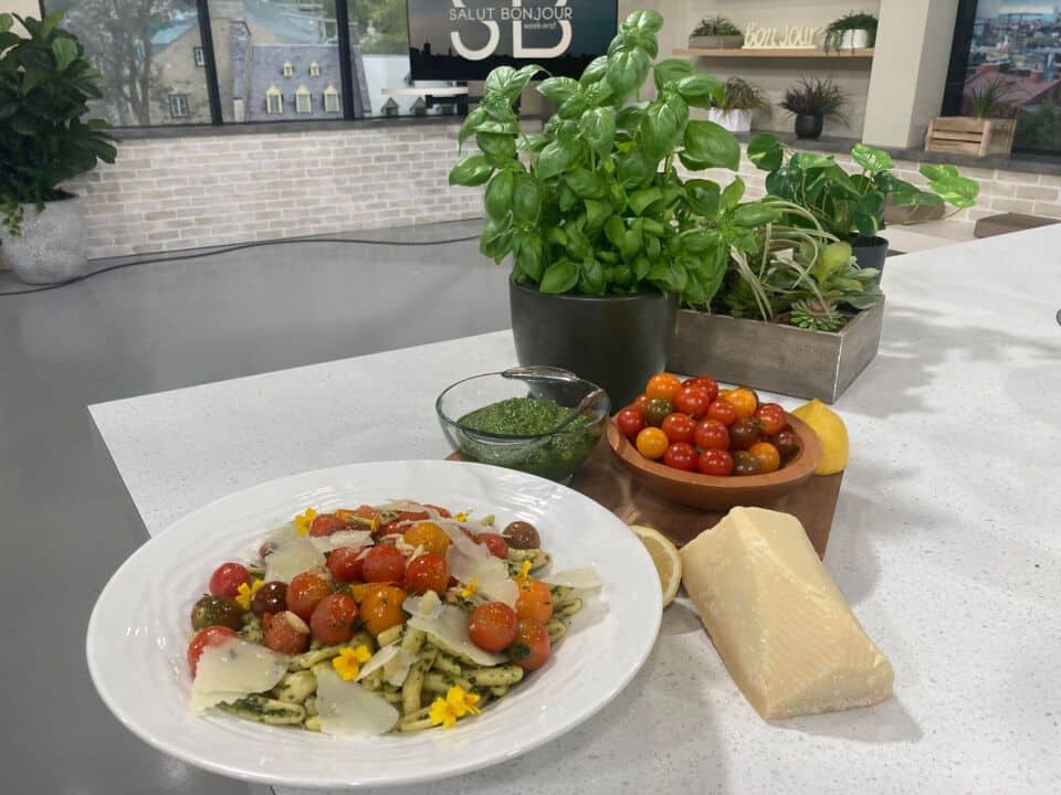 Cavatellis au pesto de basilic et tomates éclatées