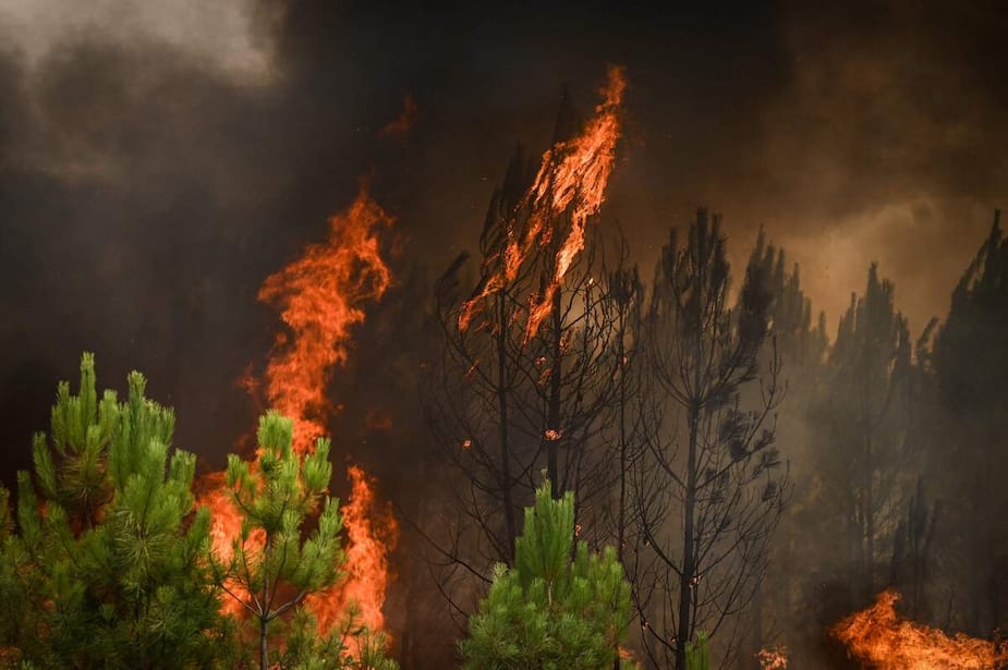 Image principale de l'article Un été record de surfaces brûlées en Europe