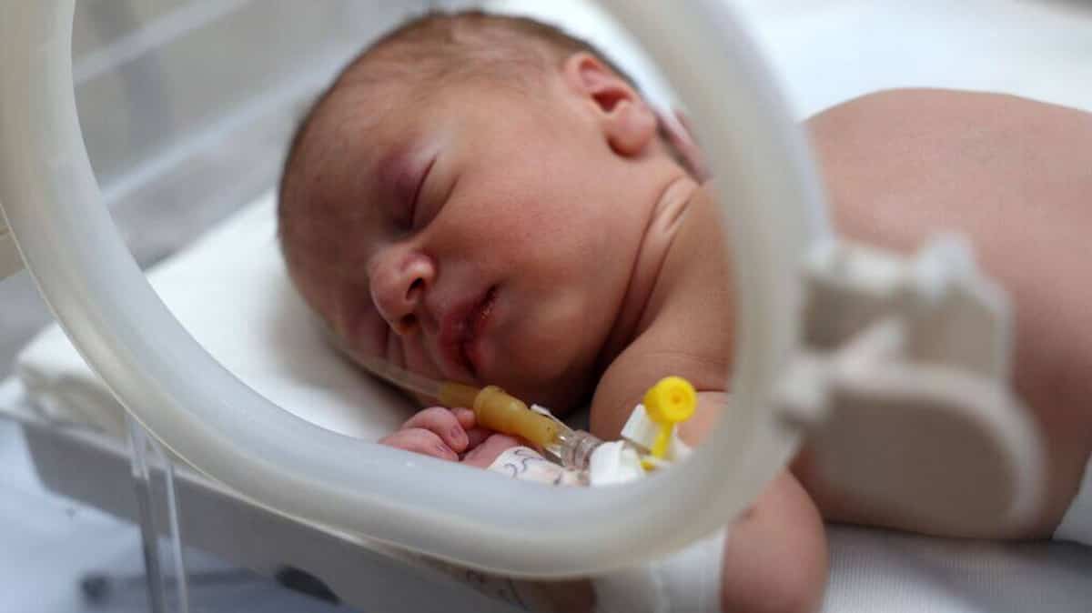 In pictures | Baby rescued from pregnant Palestinian woman killed in Gaza attack In pictures | Baby rescued from pregnant Palestinian woman killed in Gaza attack