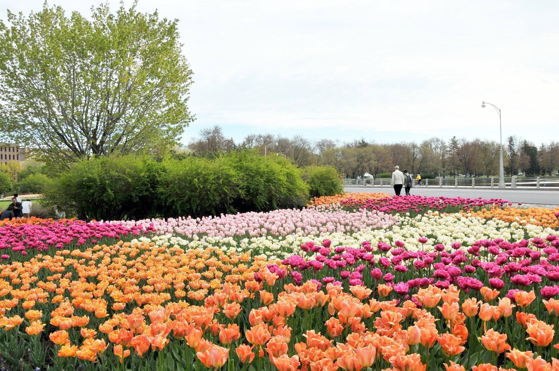Quoi faire lors d'une escapade &agrave; Ottawa pour un long weekend