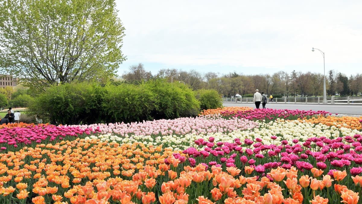 Quoi faire lors d'une escapade à Ottawa pour un long weekend