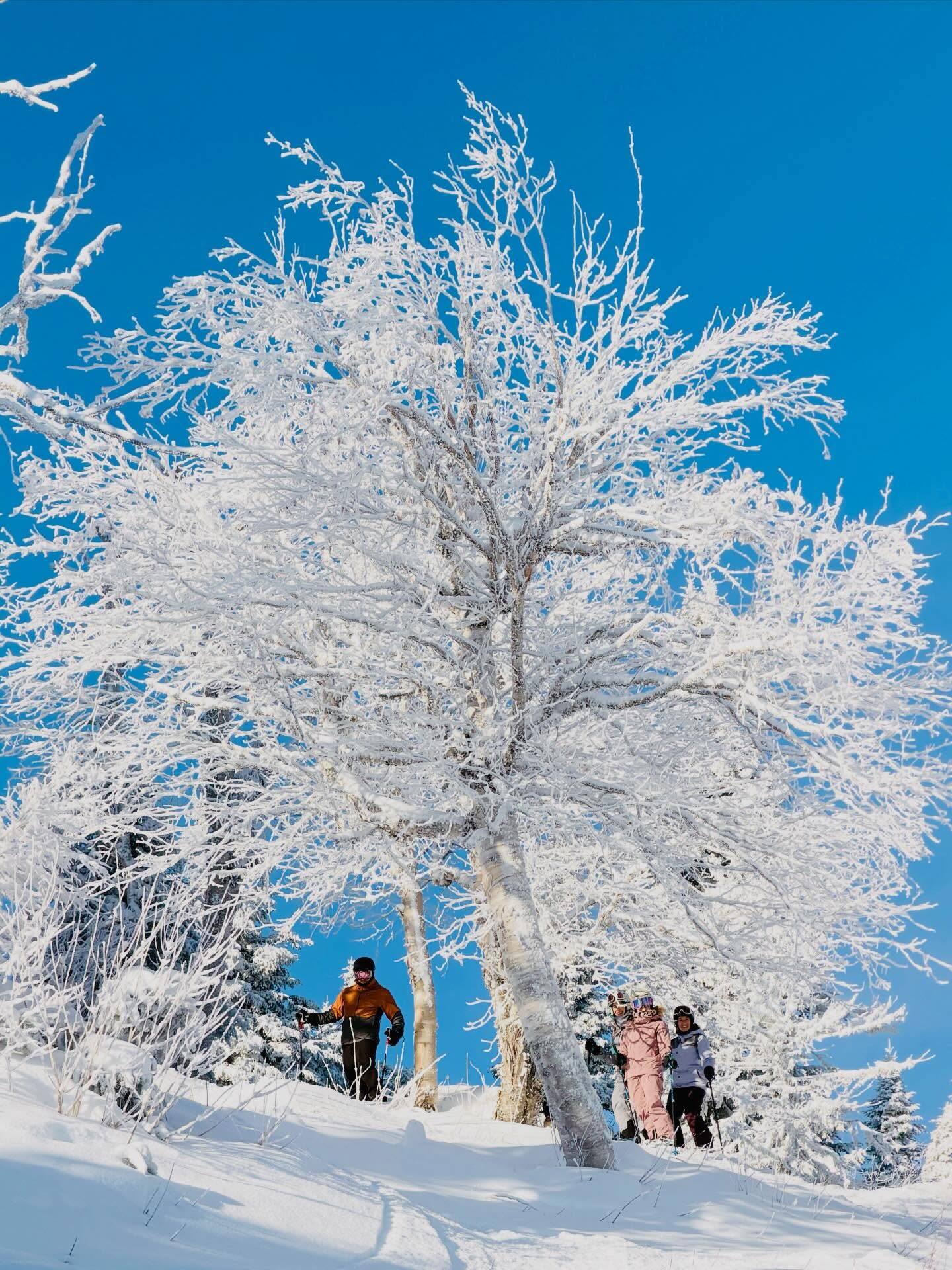 Le Massif de Charlevoix annule sa saison de ski