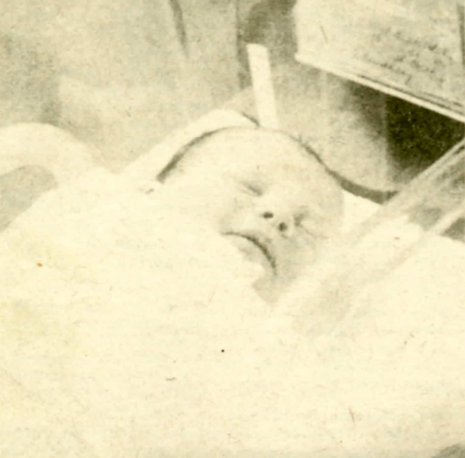 Bébé olympique recherché