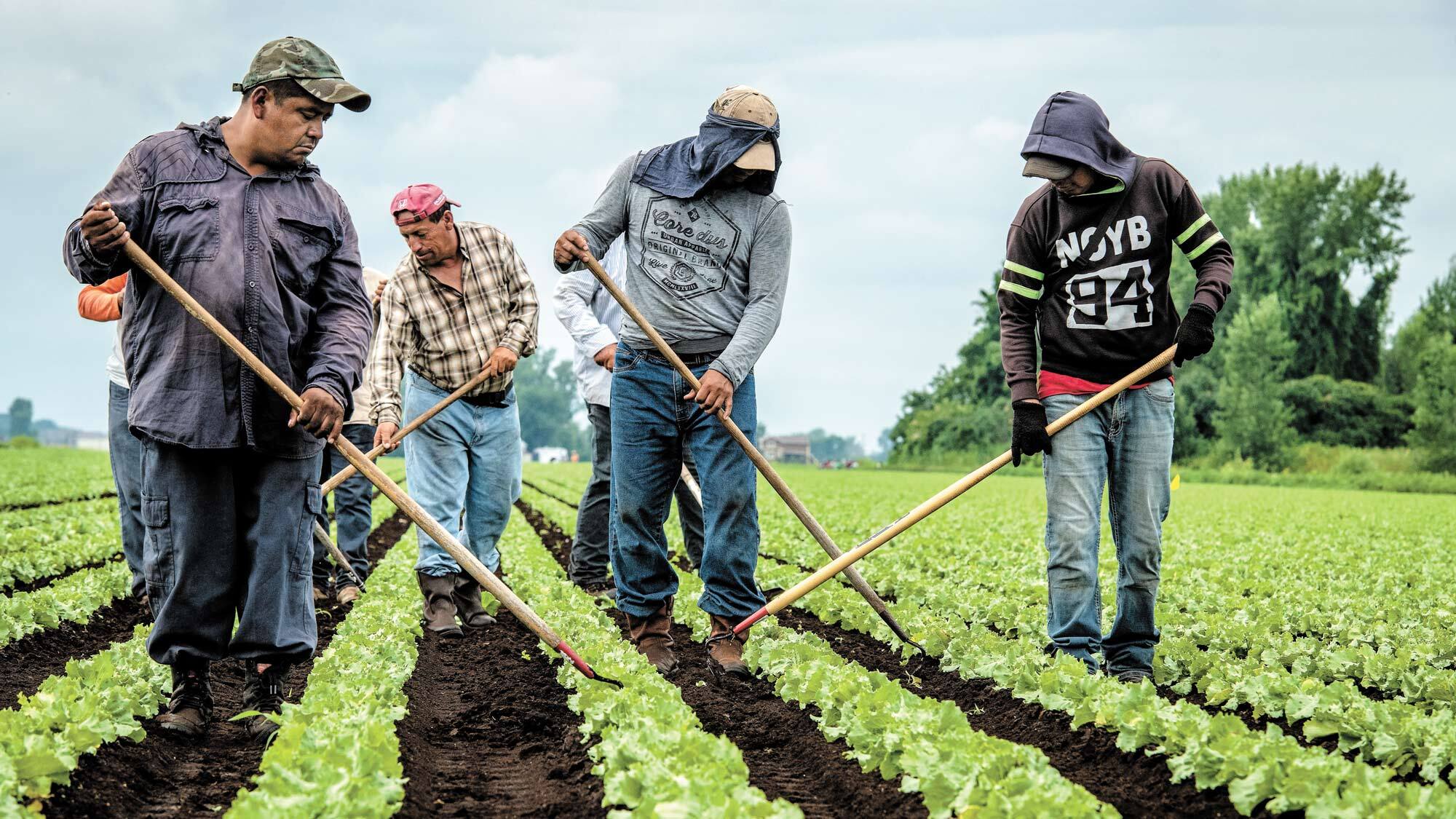 Le Québec va changer: l’autonomie alimentaire à notre portée | JDM