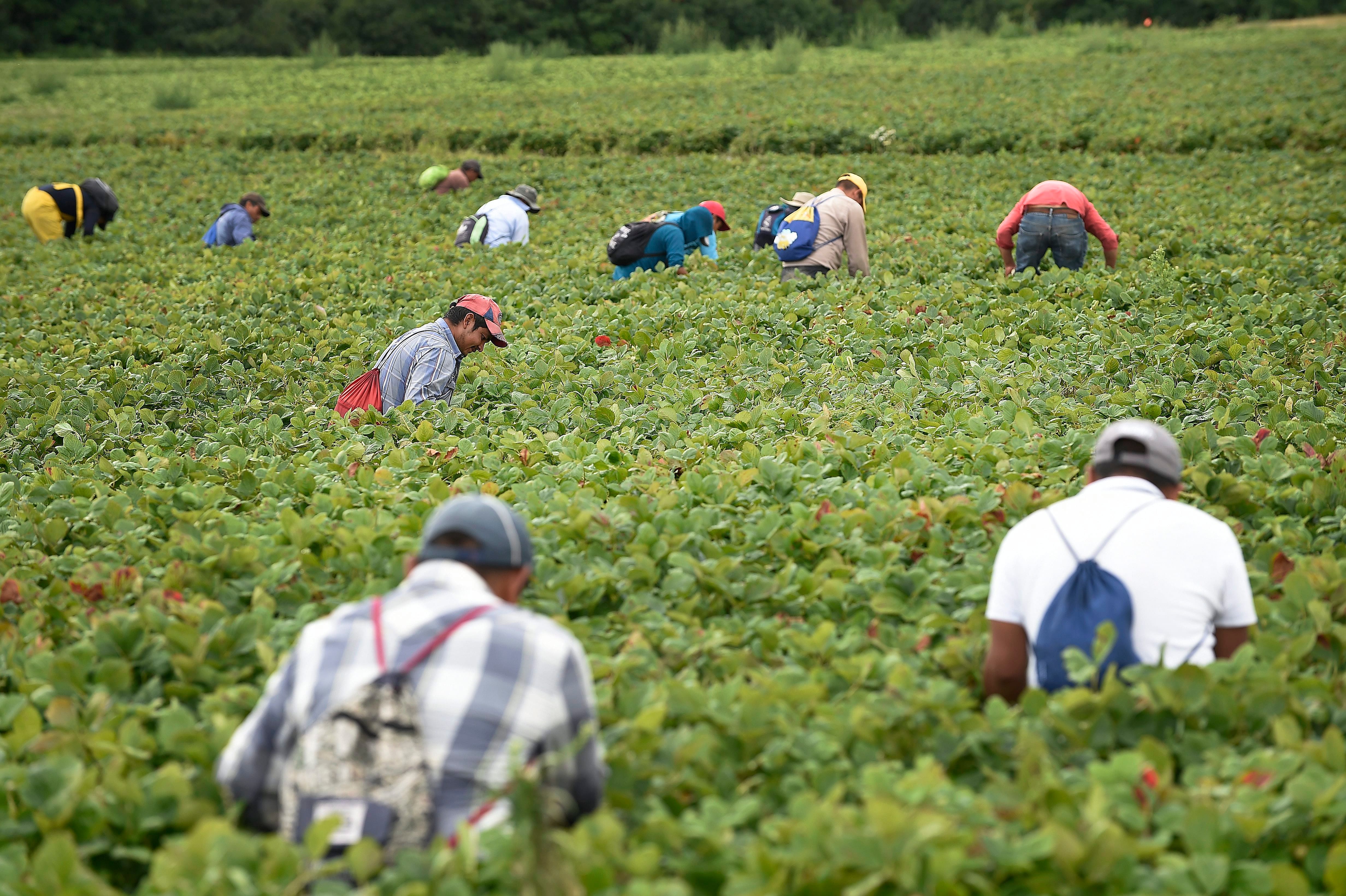 Effet m&eacute;connu de l&rsquo;immigration: 64 000 hommes de plus que de femmes au Qu&eacute;bec
