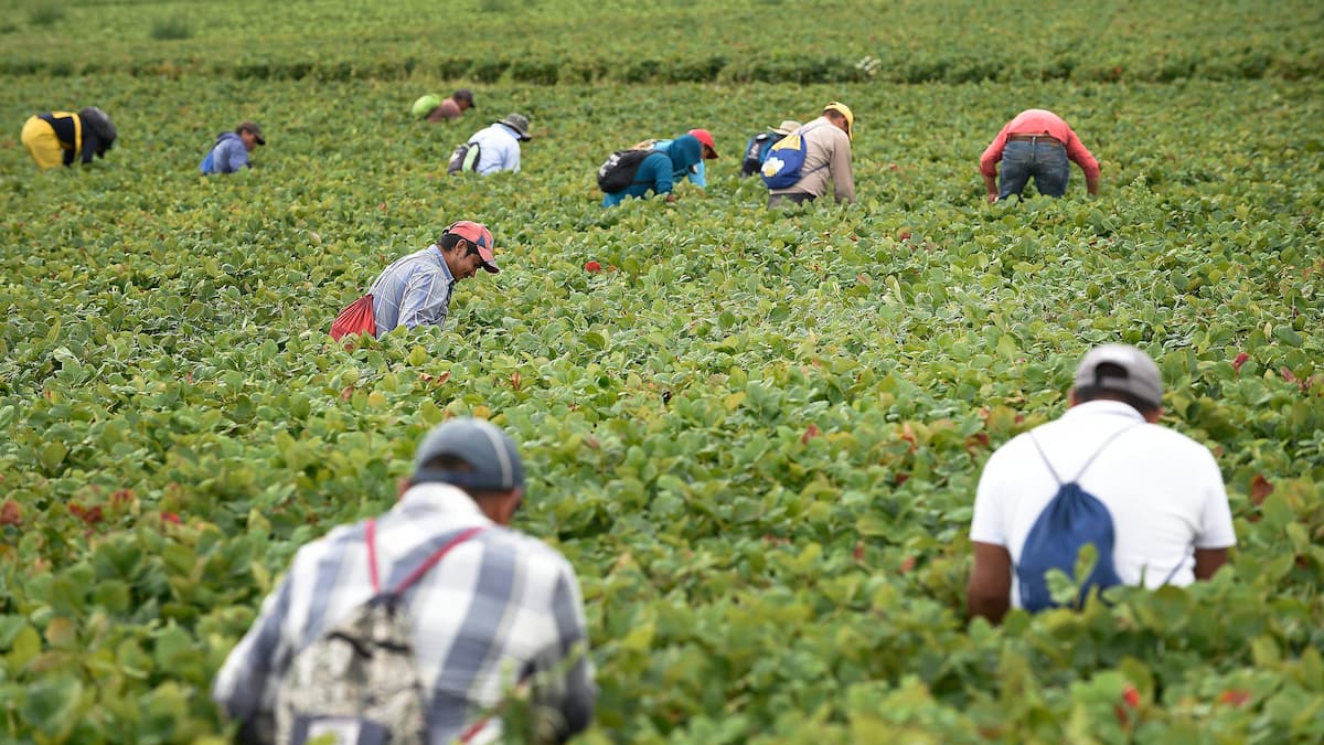 Effet méconnu de l’immigration: 64 000 hommes de plus que de femmes au Québec