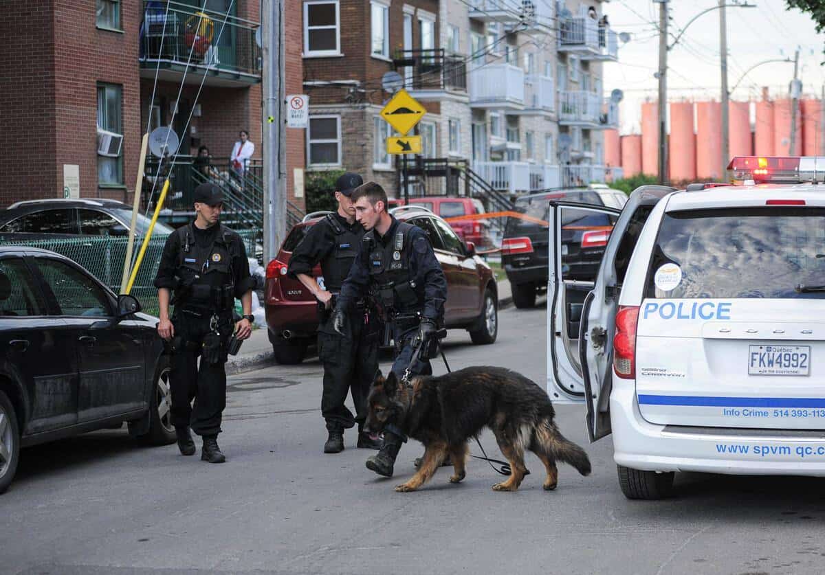 Double tentative de meurtre à Montréal TVA Nouvelles