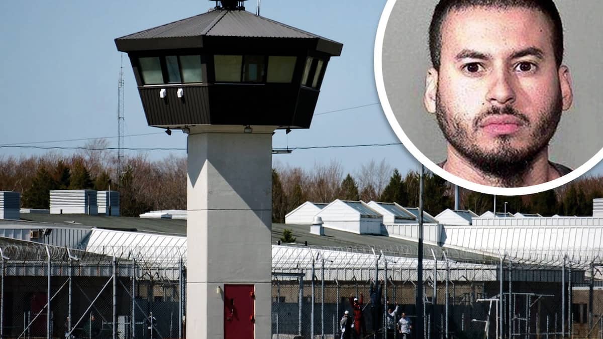 Attaques répétées contre la mafia montréalaise: un contrat de 800 000$ sur la tête d’un chef de gang