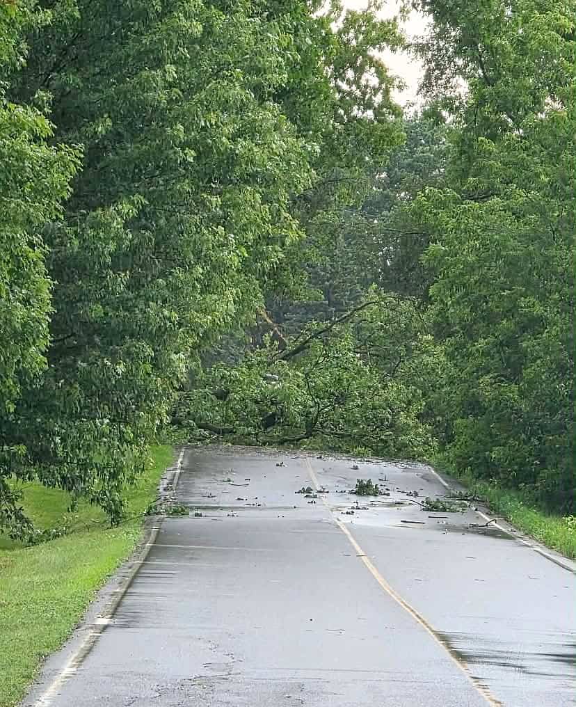 Sur cette photo, un gros arbre tombé bloque le rang Lamontagne à Calixa-Lavallée.