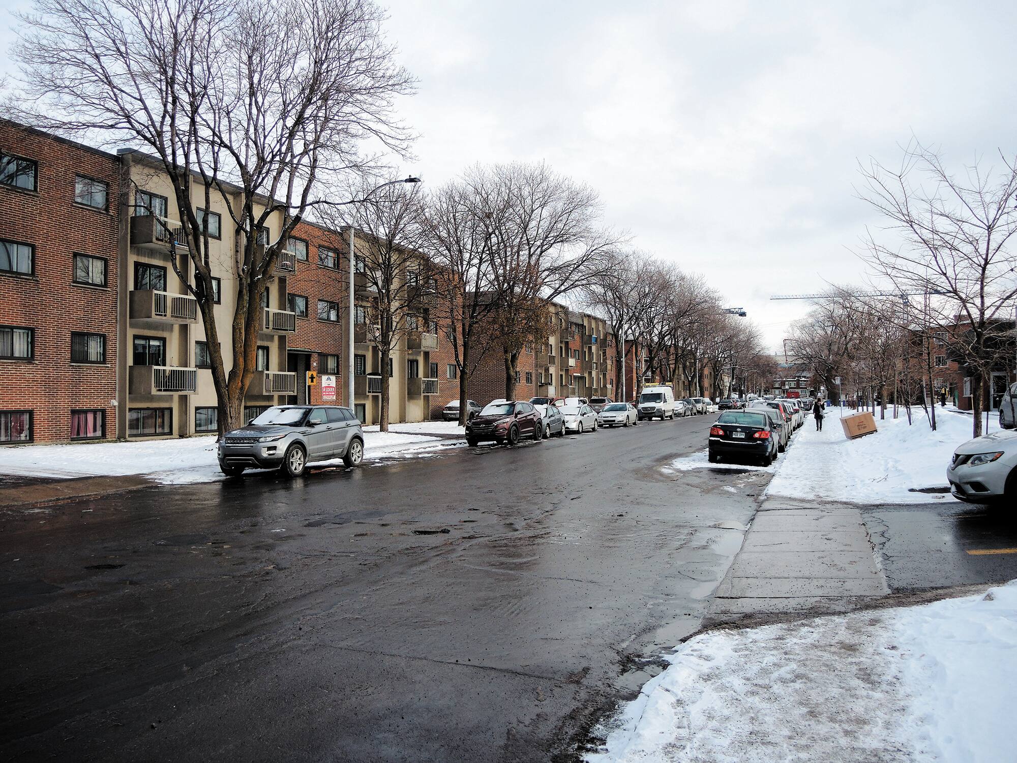 De Riches Proprios Gagnent Avec La Ligne Bleue Jdm