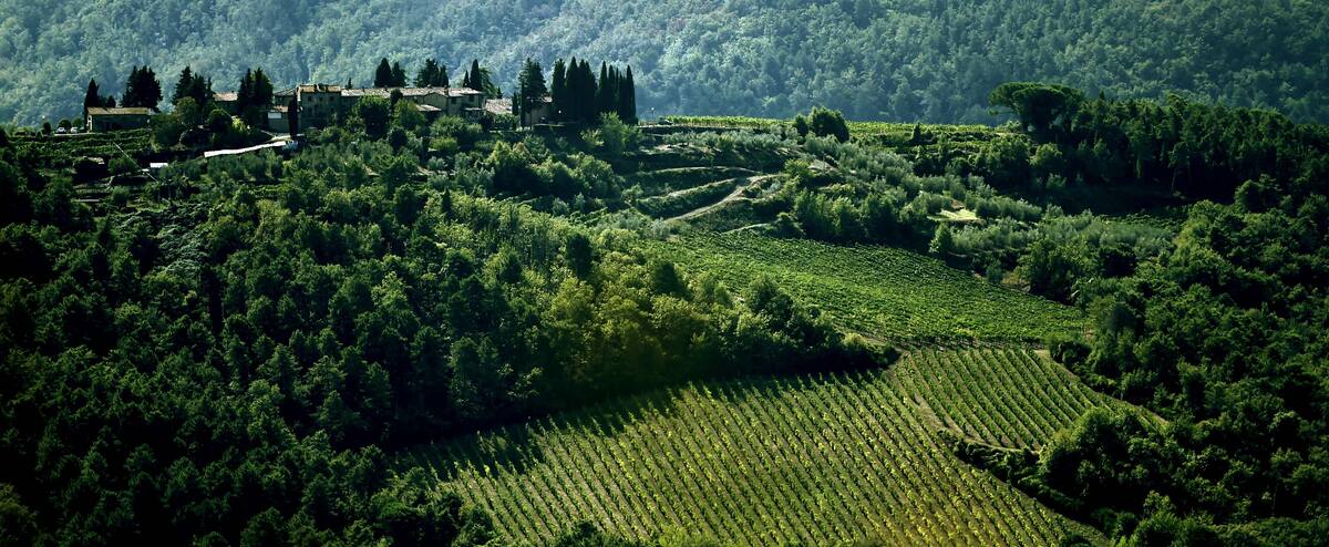 What to watch on TV on Saturday? 1