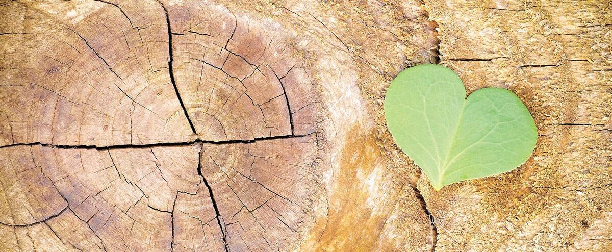 Mothers take to the front lines to protect their children's future 1