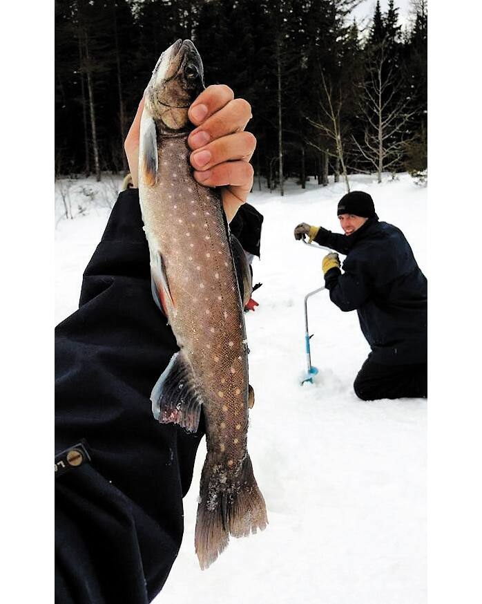 5 endroits pour pêcher sur la glace Le Journal de Québec