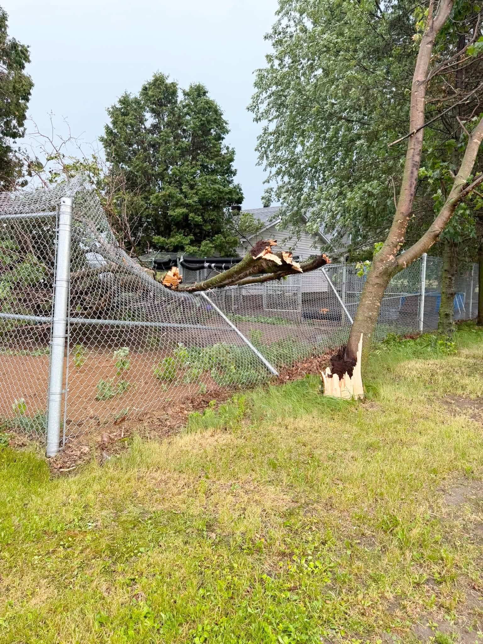 Une branche d'arbre est tombée sur une clôture au Palace Canin, une entreprise de pension et de toilettage pour chiens, à Louiseville, en Mauricie, après le violent orage du 2 juillet 2026.