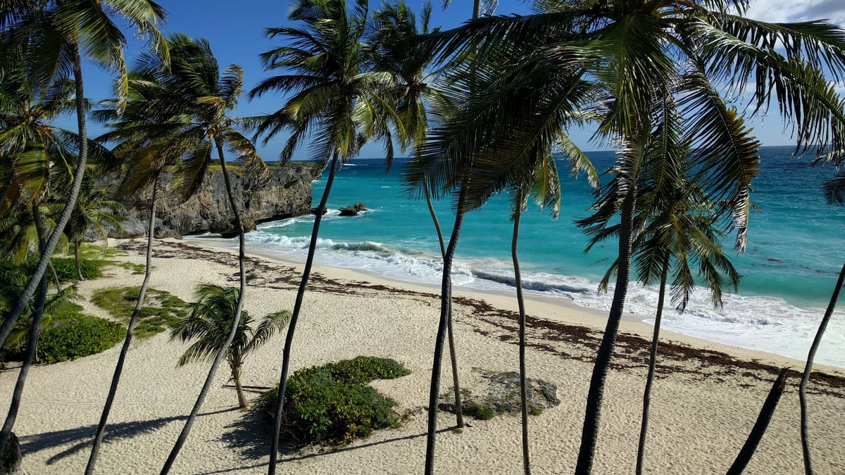 La Barbade devient une r&eacute;publique, marquant la fin de sa suj&eacute;tion &agrave; la couronne britannique