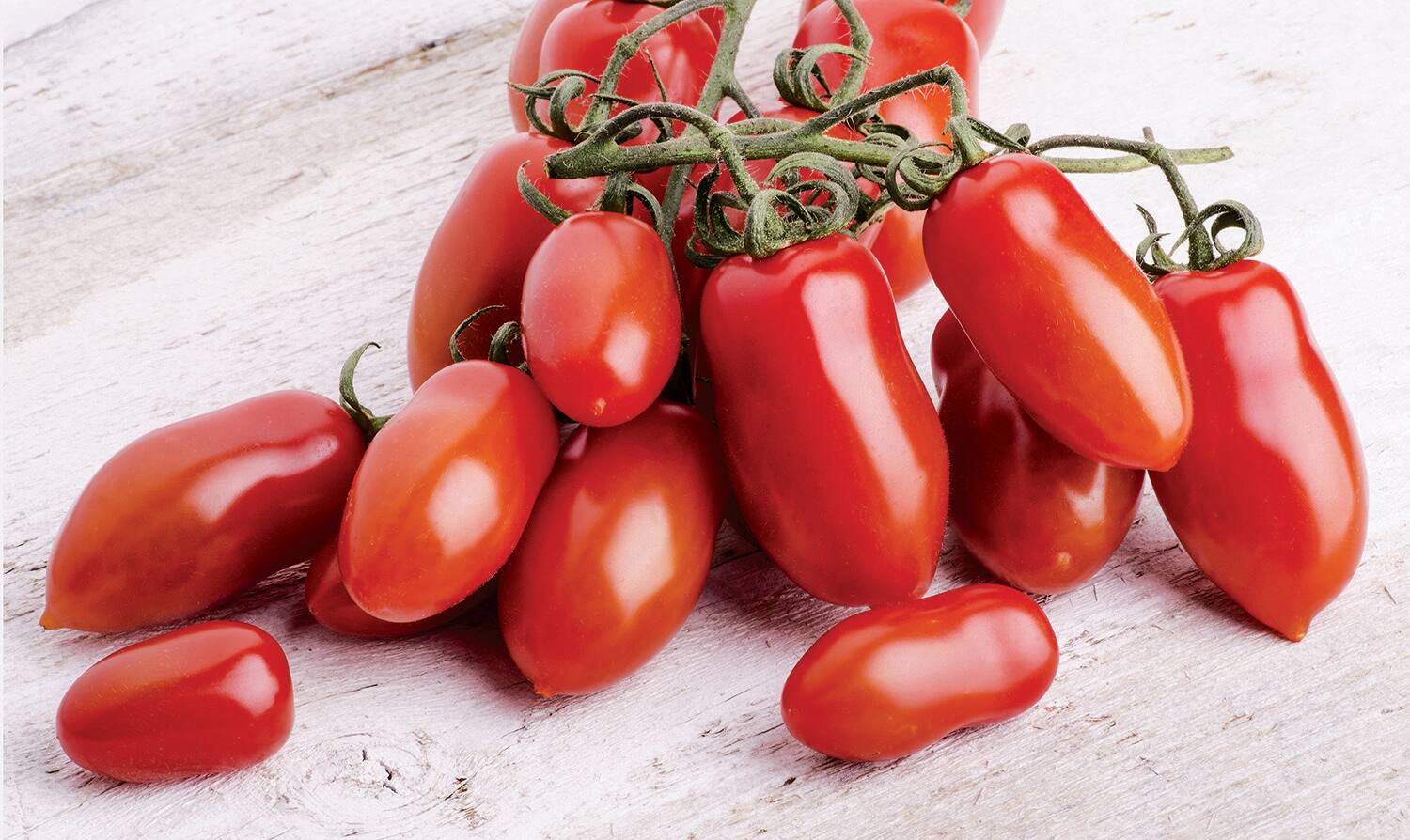 Différence Entre Coulis Et Sauce Tomate
