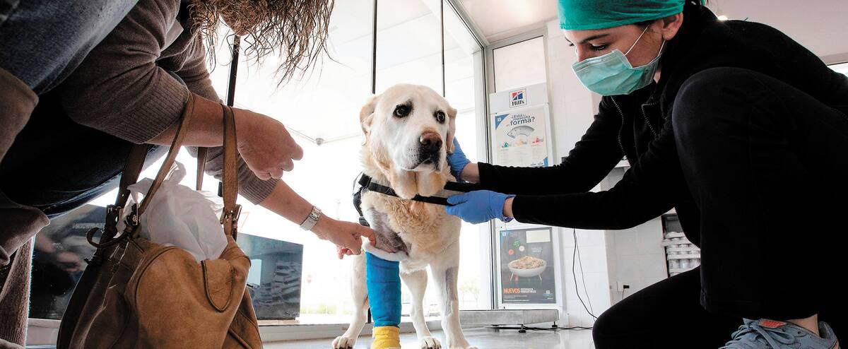 Scarica Gratis Images O6s1qrp7zqbj M dernière par