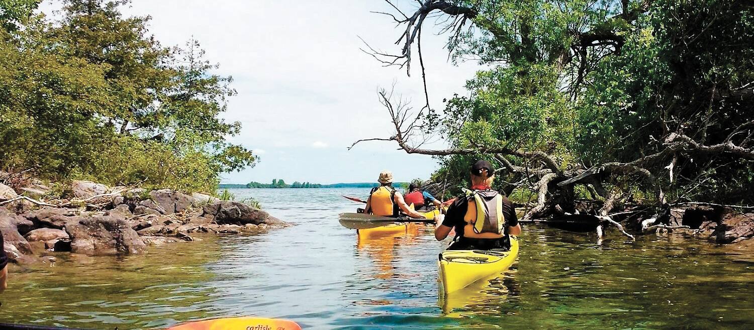 Quelles Activites Pourront Faire Les Quebecois Cet Ete Jdq