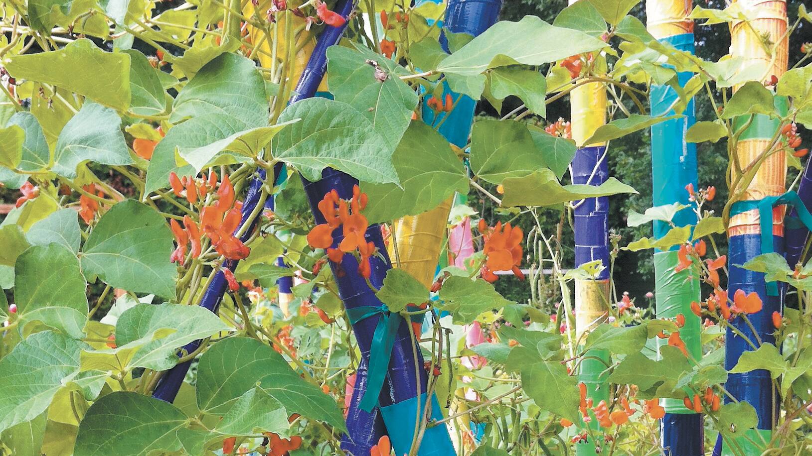 De L Abondance Avec Un Minimum D Efforts Jdm