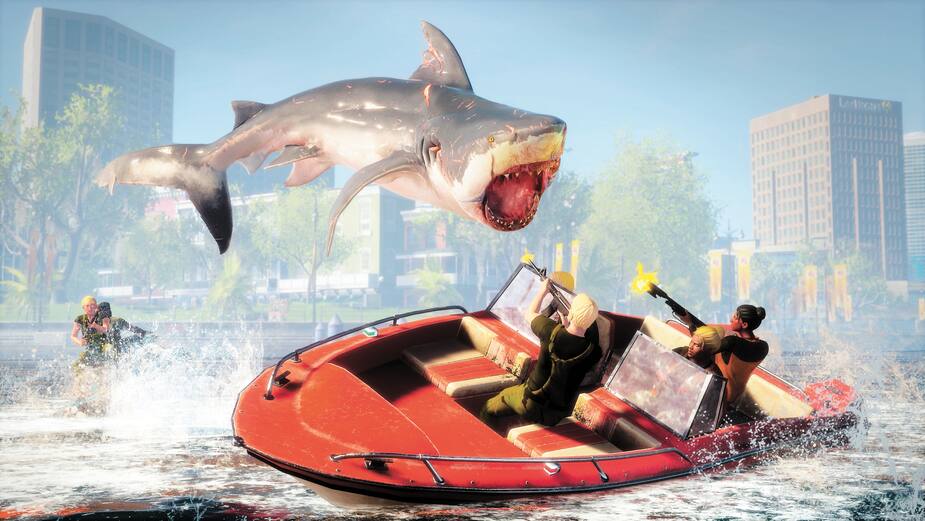 Image principale de l'article Un requin qui manque de mordant