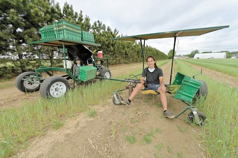 GEN -APERGES PRIMERA