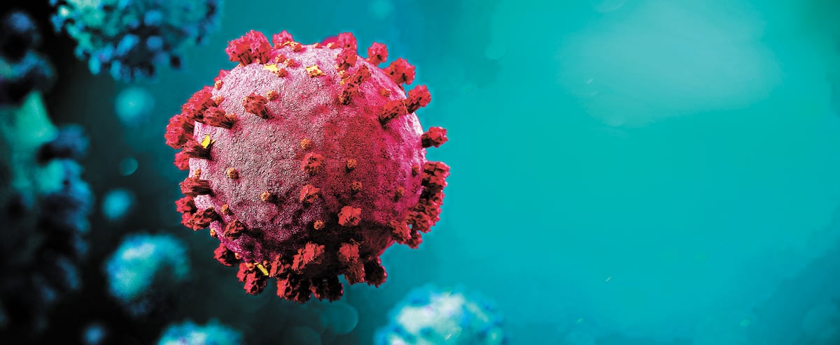 The virus survives 28 days under certain conditions 1