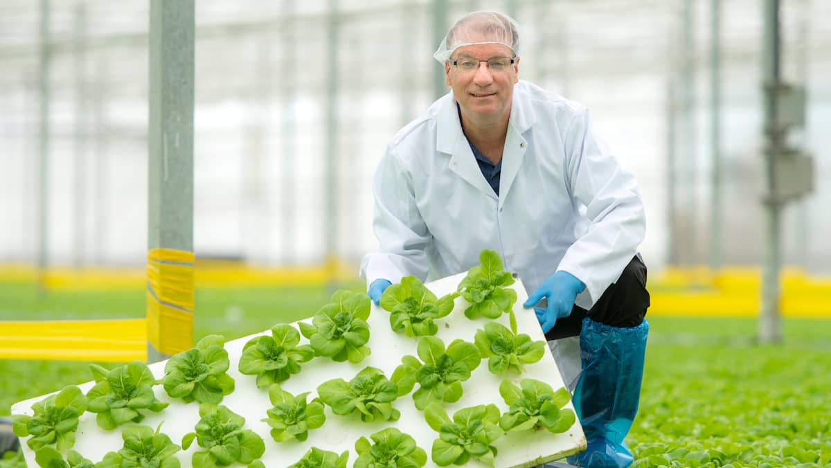 Des producteurs en serre freinés par les règles du gouvernement