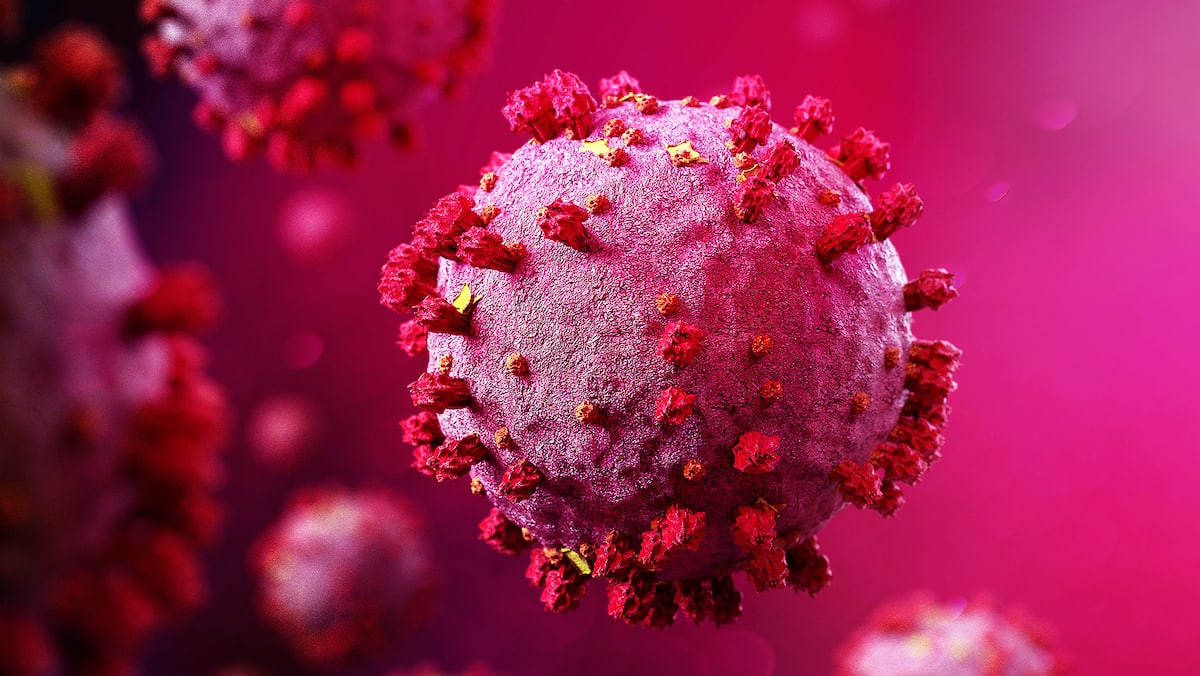 Une mort cellulaire similaire au sida