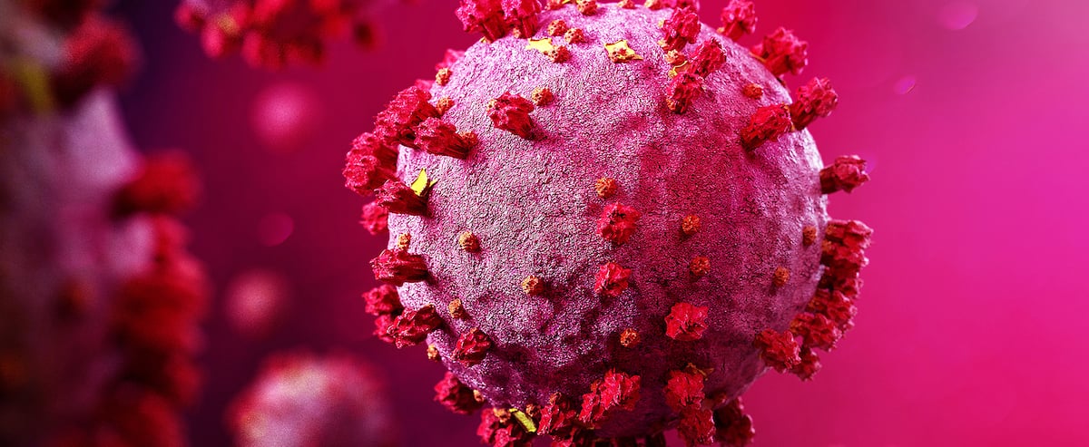 Epidemic: Here are the predictions that frighten Franுவாois Legault Epidemic: Here are the predictions that frighten Franுவாois Legault