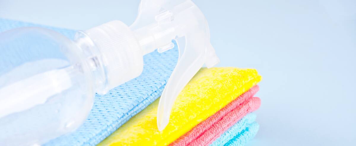 The champions of green cleaning 1