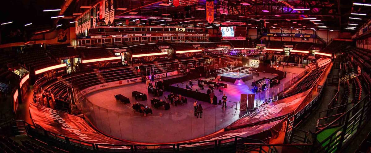 A COVID-19 version gala 1