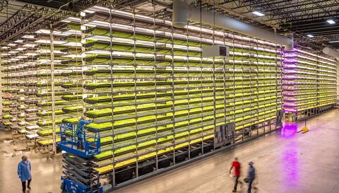 About $ 30 million was invested in AeroFarms to transform a building that housed a former steel mill into a state-of-the-art urban farm.