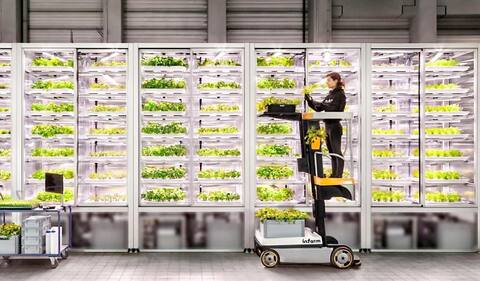 Infarm's growing system is easy to install and quickly transforms any office building into an indoor city farm.