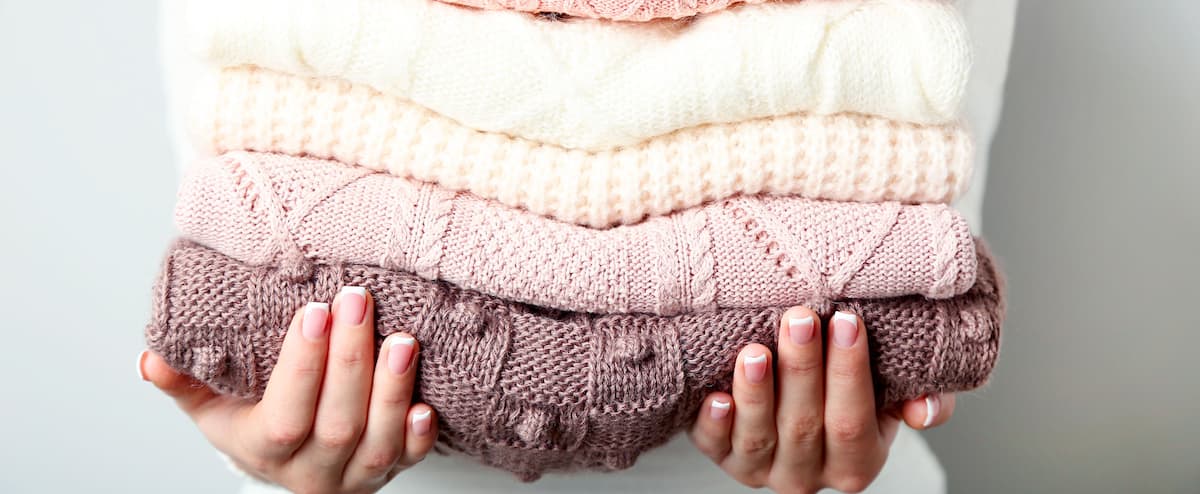 The return of the little wools 1