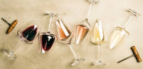 CASA 1017 Wine tasting