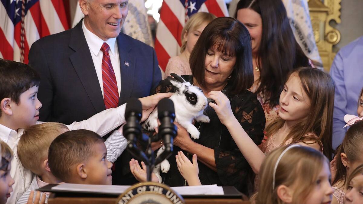 «Marlon Bundo», le lapin de Mike Pence, est mort