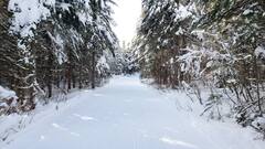 Le Bas-Saint-Laurent et la Gaspésie vous attendent