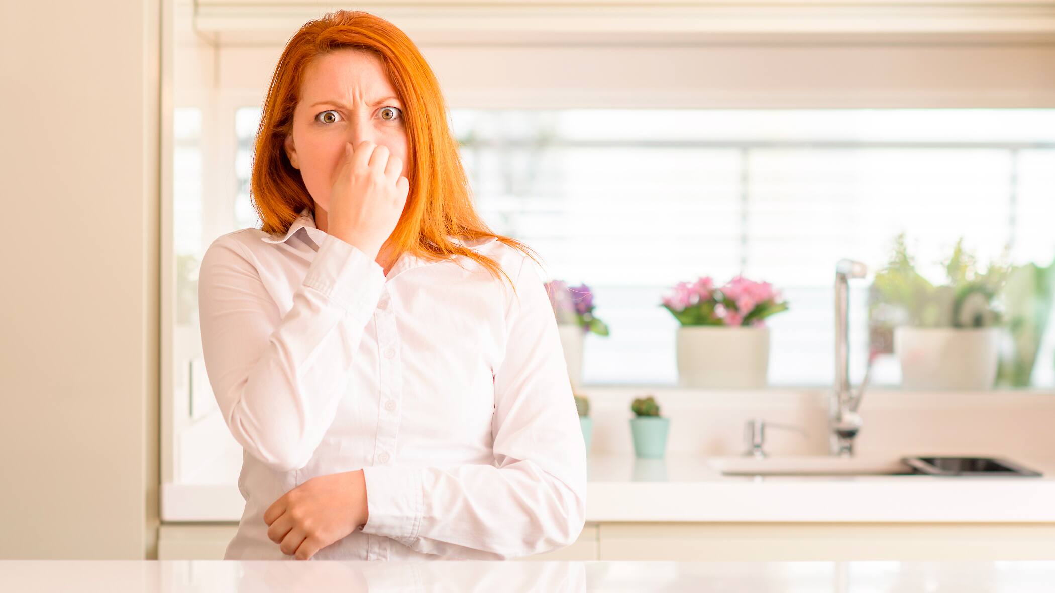 De mauvaises odeurs dans la maison Le Journal de Montréal