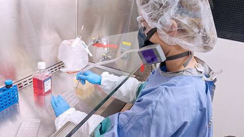 Vestida con su ropa protectora, Anis Antoun, una de las supervisoras del laboratorio de Laval, recolecta el líquido que servirá como medio de cultivo para las células afectadas.